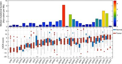 The 12-CK Score: Global Measurement of Tertiary Lymphoid Structures